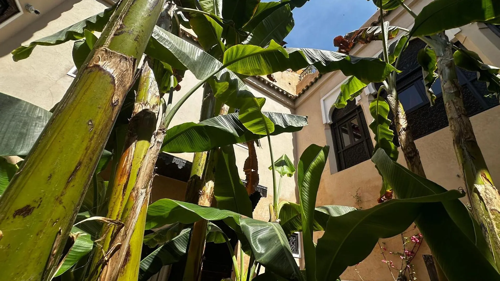 Riad Bamileke Marrakesh